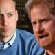 Prince William turns too rude for Prince Harry: ‘damaged generation', Prince Harry will return to the UK next week to commemorate the 10th anniversary of the Invictus Games