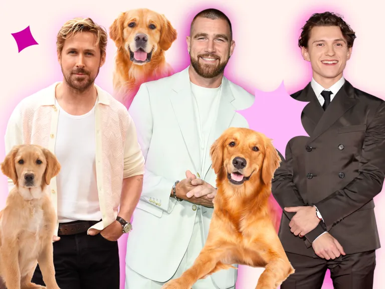 Golden retriever men are the new heartthrobs: Women are obsessing over soft, excitable and friendly men like Sam Thompson and Tom Holland after Taylor Swift started dating Travis Kelce