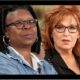 Express News: Finally, ABC issued an official statement confirming that Joy Behar and Whoopi Goldberg’s contracts will not be renewed because they are too toxic. Was it a wise choice…