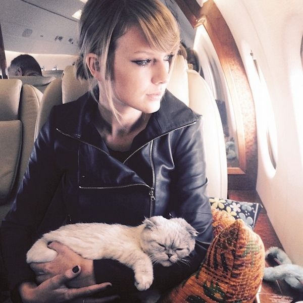 Taylor Swift responds to a fan who criticized her for frequently kissing and being seen with her cat, stating, “I can’t be without my cat, Travis,” emphasizing the importance of her feline companion in her life.
