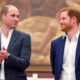 Royal Update: After Several Years Of Been Estranged, Prince William 'Sent last-minute Text To Prince Harry That Sparked Royal Ceasefire'