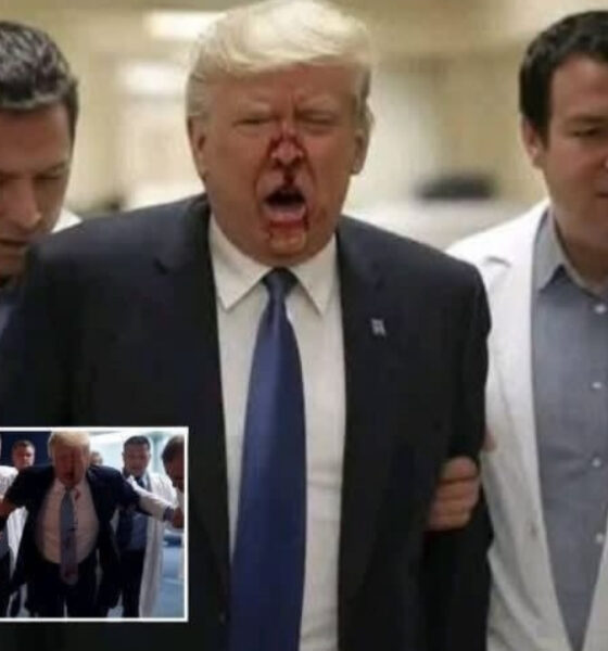 President Donald Trump