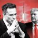 Elon Musk and Trump