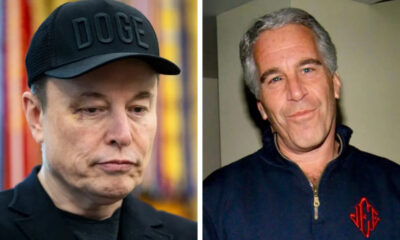 Elon Musk and Epstein